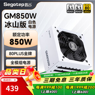 鑫谷（segotep） 电源650W/750W/850W/1000WGM系列金牌全模组 台式机50系组装电脑电源ATX3.1模组 GM850W冰山版白色电源【支持ATX3.1】