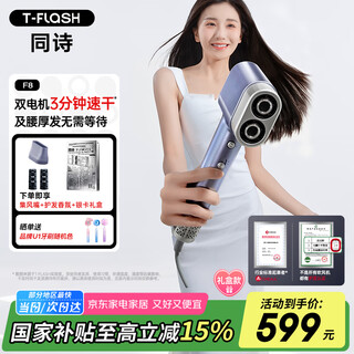 Tongshi (t-flash) aiqi f8 high-speed double-barrel plasma hair dryer home hair care quick-drying high-wind hair dryer gift box teacher's day gift birthday gift for wife practical space silver
