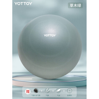 Yottoy yoga ball small fan you pilates ball pelvic floor muscle fitness ball 20cm pregnant women training core strength wood green thickened _+ pump 65cm (height 160-1)