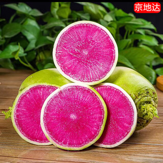 Jingdida shandong xinxinmei radish, net weight 5jin jin is equal to 0.5kg, single fruit 250g+, red radish straight from the source