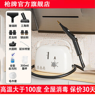 Gun brand high temperature and high pressure steam cleaner home air conditioner range hood kitchen powerful heavy oil cleaning machine 2600w-household bag water tank model-whole house cleaning type