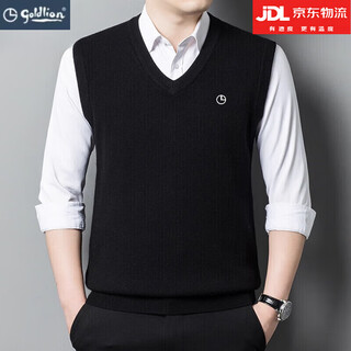 Goldlion pure cashmere men's thick vest autumn and winter sleeveless vest knitted v-neck wool sweater (v-neck vest) black m 165