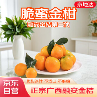 京地达广西融安金桔三代脆蜜金桔净重3斤金柑单果约21g水果源头直发包邮