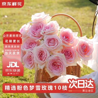 Jingdong flowers mengxue roses 10 ruyi base fresh-cut flowers water-raised flower arrangements lifestyle bouquets gifts straight from the source