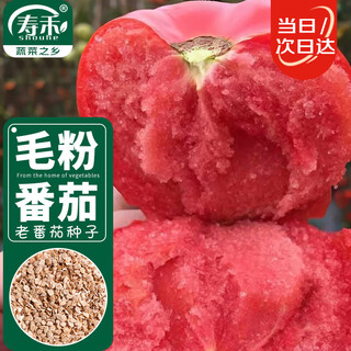 Shouhe maofensha pulp tomato seeds seedlings tomato winter and spring rapeseed weiyu fenguan large tomato seeds 100 capsules