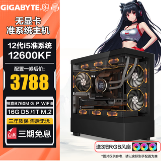 Gigabyte 14th generation barebone i9 14900kf/i5 14600kf graphics card-less desktop host diy assembly computer configuration one i5 12600kf丨16g丨1t