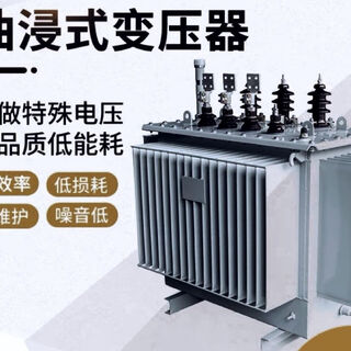 S11 immersed 10 transformer 200 high voltage power high power three phase 630 days delivery dry type s11-30