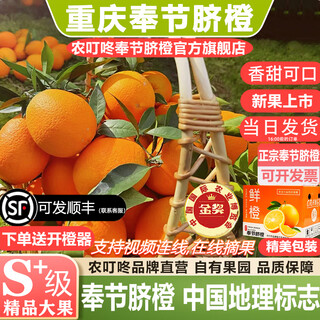 农叮咚【品牌果园直营】重庆奉节脐橙橙子纽荷尔礼盒装水果官方旗舰店 品质大果【自吃】果径75-80 10斤【精美覆膜彩箱】