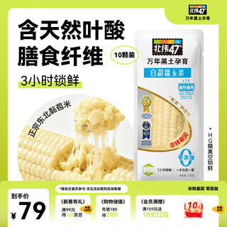 47 degrees north latitude white sweet waxy corn 4.4jin jin equal to 0.5kg (220g*10) northeast fresh sticky corn on the cob vacuum packed breakfast corn