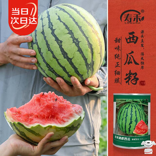 Shouhe meidu watermelon seed seedling improvement 8424 fruit seeds weiyu meidu watermelon seeds 150 barrels