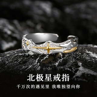 Ostantin s925 silver ring ring for men with adjustable opening, trendy and handsome index finger tail ring, valentine's day gift for boyfriend and husband, polaris ring - brand original gift box, single