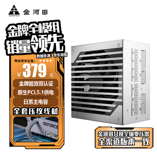 金河田Nexus Gold 850W金牌A+750W电脑电源台式机全模组 额定750W 1050W稳压静音机箱电源650W Nexus+Gold+750W白色