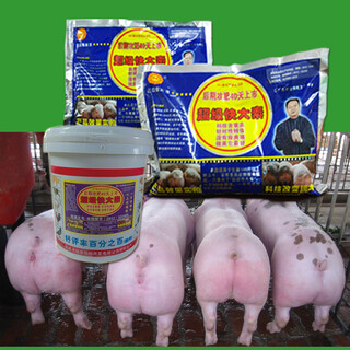 Kuadasu pig feed premix, fattening concentrate additive for pigs, eat more and reduce feces. 1 barrel (for large pigs) comes with 3 packs, 33 packs in total.