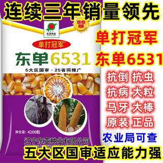 Сезон роз, одобренный siguo, подлинные семена кукурузы dongdan 6531 Академия сельскохозяйственных наук, короткий стебель, большая палка, устойчивый к болезням и полеганию. Оригинальные подлинные семена кукурузы с золотым зерном, чемпион dongdan 6531. Обновленная версия. 4200 зерен на акр Биг Мак + высокоурожайная технология.