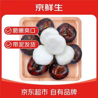 Jingxiansheng guangxi lipu water chestnuts net weight 5jin jin equals 0.5kg single fruit 20g+ fresh water chestnuts vegetables straight from the source