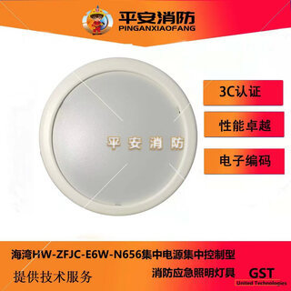Bay fire emergency lighting fixture hw-zfjc-e6w-n656 ceiling emergency lighting 6w ceiling installation n656 ceiling emergency lighting 6w