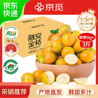 京觅广西融安 第二代滑皮金桔金柑净重3斤装 单果9g+新鲜水果源头直发
