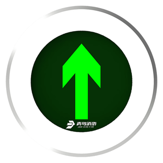 Jade bird underground light/evacuation indicator light/fire emergency light/ground indicator light single arrow