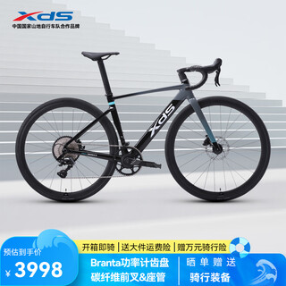 Xide sheng road bike 2025 ad350 carbon fiber front fork seat tube power meter chain aluminum alloy ultra-light aerodynamic dove gray 480mm (suitable for height 165-175cm)
