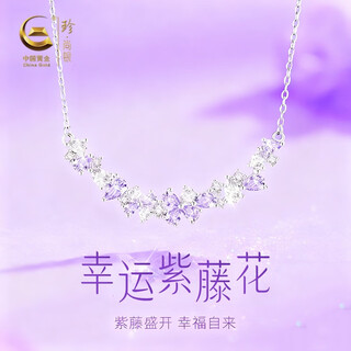 Zhen shang silver necklace women's pendant 2025 new birthday gift anniversary niche light luxury high-end sent to girlfriend and wife
