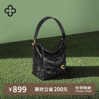 Cassile star's same style casile tote bag for women vegetable tanned cowhide commuter light luxury single shoulder crossbody bag birthday gift