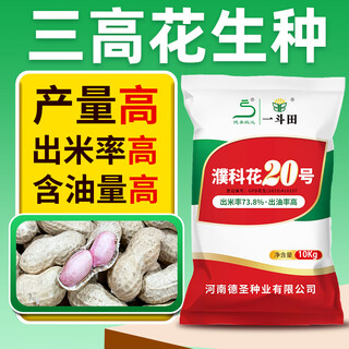 Desheng zhiyuan original pu kehua nr. 20 ertragreiche geschälte erdnusssamen großhandel mittlere frucht trockenheit und staunässe resistent dünne schale große fabrik direktverkauf original geschälte pu kehua 20 große verpackung-20jin jin entspricht 0,5 kg