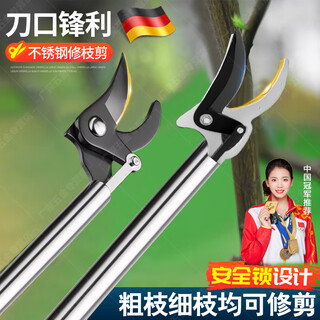 German high-altitude pruning shears, special scissors for branch cutting, gardening fruit trees, stainless steel thick branches, extended high branch shears, 1 meter, upgraded stainless steel reinforcement rod + spare blade