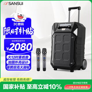 Sansui outdoor k-song special audio square dance lever audio outdoor performance heavy bass smart wireless microphone 12-inch d12 electric acoustic guitar folk instrument speaker