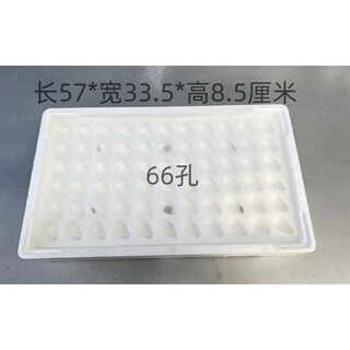 Shantou lincun strawberry packaging box strawberry single layer foam board without cover strawberry transfer box foam large board 66_holes