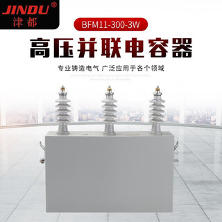 High-voltage shunt capacitor bfm11-100-3w high-voltage three-phase column on-site compensation power outdoor capacitor bfm11-500-3w three-phase high-voltage shunt capacitor