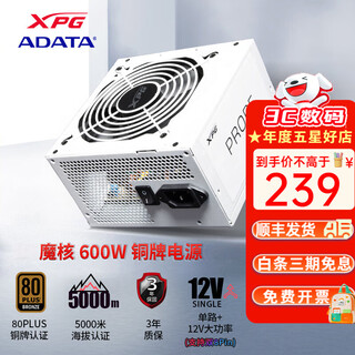 威刚（ADATA） XPG PROBE魔核铜牌电源 600W/750W ATX台式电脑游戏主机电竞电源 600W白魔核铜牌直出 | 3年保