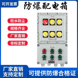 Explosion-proof distribution box control cabinet industrial lighting power switch aluminum wiring stainless steel instrument maintenance complete set customization aluminum alloy customization