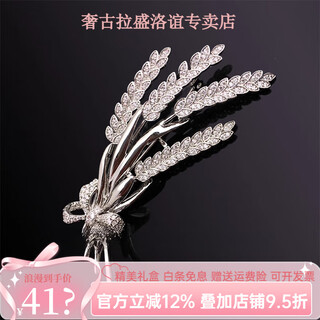 Shijun (shijun) men's brooch men's suit luxury brand brooch brooch brooch brooch badge badge suit accessories high silver