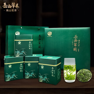Yanhai 2024 mingqian new tea yuexi cuilan premium orchid fragrance green tea anhui maojian yunwu tea small can 500g