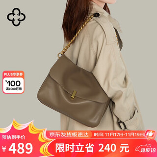 Cassile casile women's bag tote bag women's bag large capacity light luxury shoulder crossbody underarm bag girl's birthday chinese valentine's day gift