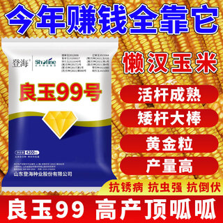 Liangyu 99 corn seed original liangyu 99 corn seed authentic close planting small steel cannon corn seed liangyu 99 about 3jin jin equal to 0.5kg 4200 grains*1