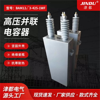 High voltage power bam bfm113-100-1w film fixed parallel reactive power compensation capacitor large capacity bam11.39-700-1w high voltage parallel capacitor