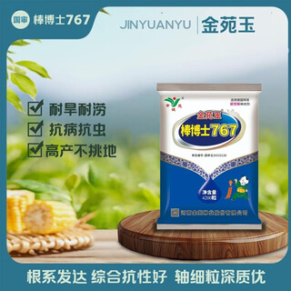 Сезон роз. Подлинные супервысокоурожайные семена кукурузы jinyuan dr. yubang 767, импортированные без покрытия, обладающие комплексной устойчивостью и сильными семенами dr. bang 767, три мешка.