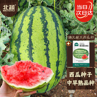 Northern vegetables, large watermelon seeds, seedlings, northern and southern seasons potted seeds, lazy man sweet king watermelon seeds, about 20