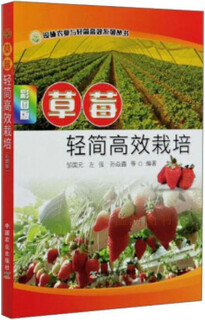 草莓轻简高效栽培 彩图版 邹国元，左强，孙焱鑫等编著 中国农业出版社