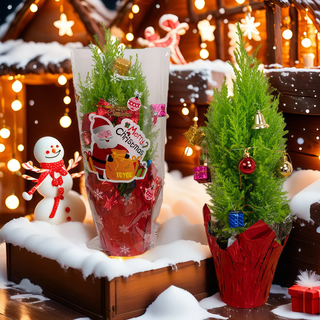 Merry christmas small pine potted plant