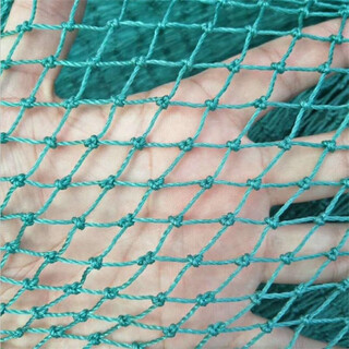 Lotus flower fence guardrail net breeding net chicken farm duck net fishing net lifting net river net poultry net anti-bird net climbing vine net thickened rope 18 strands side length 2 cm mesh