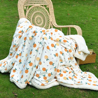 Fantasy lambs velvet blanket winter thick cover blanket coral velvet small blanket office shawl single nap blanket sofa blanket little orange velvet-encrypted-double-sided warm 70x100cm cat and dog toddler blanket