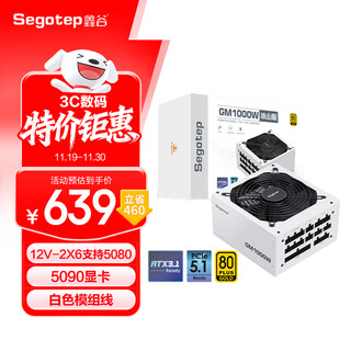 Xingu (segotep) gm1000w atx3.1 iceberg version gold medal full module power supply (12v-2x6 supports 5080/5090 graphics card/white module cable/desktop computer host power supply)