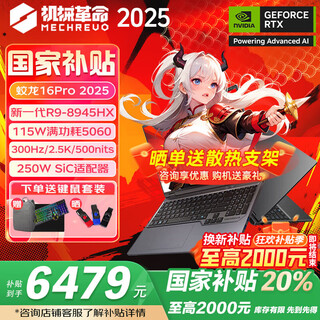 机械革命（MECHREVO）蛟龙16Pro 2025款新品 锐龙R9HX满血可选5060/5070/Ti 16英寸高性能学生电竞游戏笔记本电脑 定制R9-8945HX/5060/32G+1T灰 官方标