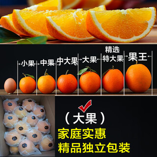 Jiangman fresh gannan navel orange straight from the source fresh sweet orange seasonal fruit for pregnant women hand-peeled fresh orange 10jin jin is equal to 0.5kg hand-picked by old farmers 80mm (inclusive)-85mm (exclusive) 9jin jin is equal to 0.5kg