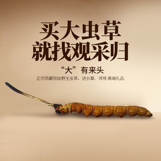 Observe the authentic tibetan wild cordyceps sinensis health supplements for middle-aged and elderly people cordyceps high-end gifts health products about 0.65g/root (wild cordyceps king) 20g gift box wild cordyceps