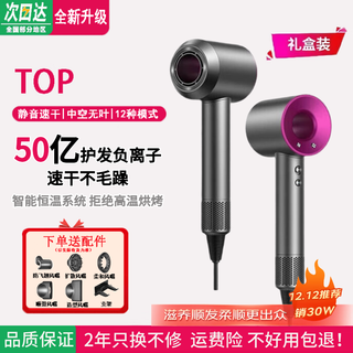 Selected leifen hair dryer home silent negative ion high power hair dryer hair dryer home constant temperature hair care series hair salon new high wind hair dryer rose red free 5 nozzles + stand cord length 1.8 meters