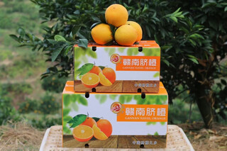 江满鲜赣南脐橙正宗赣州橙子新鲜水果整箱孕妇橙团购送礼彩箱年货节 60mm（含）-65mm(不含) 5斤