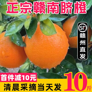 江满鲜江西正宗赣南脐橙现摘特大果当季新鲜水果手剥甜橙子整箱 9.2斤 60-70mm 玲珑小果